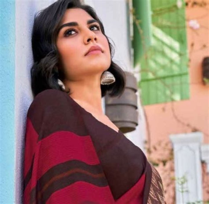 Meenal Sahu Height, Weight, Net Worth, Age, Birthday, Wikipedia, Who, Instagram, Biography