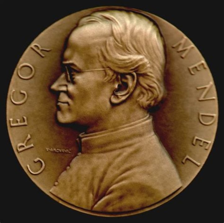 
What discovery did gregor mendel make? 